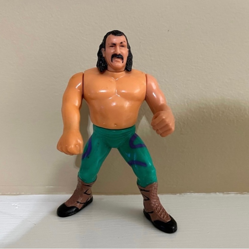 WWE/WWF Hasbro Jake The Snake Roberts Action Figure Toy